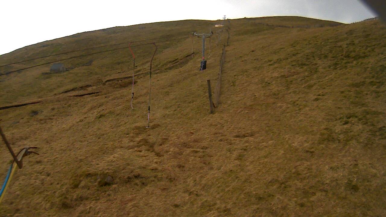 Image from 2022/03/25 for Tow Hut