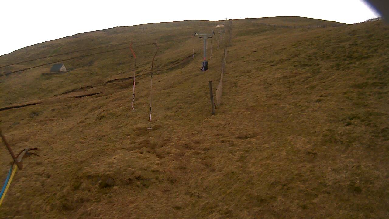 Image from 2022/03/25 for Tow Hut