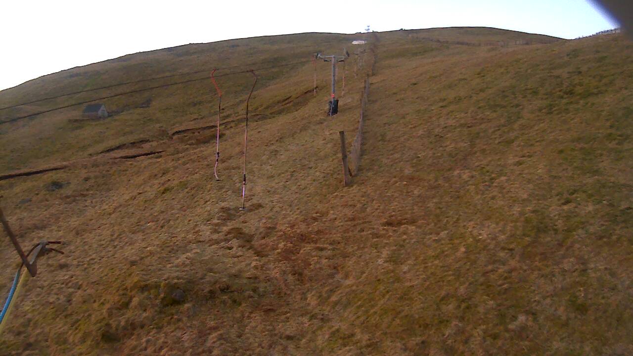 Image from 2022/03/26 for Tow Hut