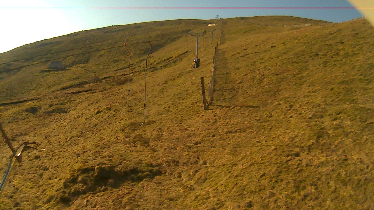 Image from 2022/03/26 for Tow Hut