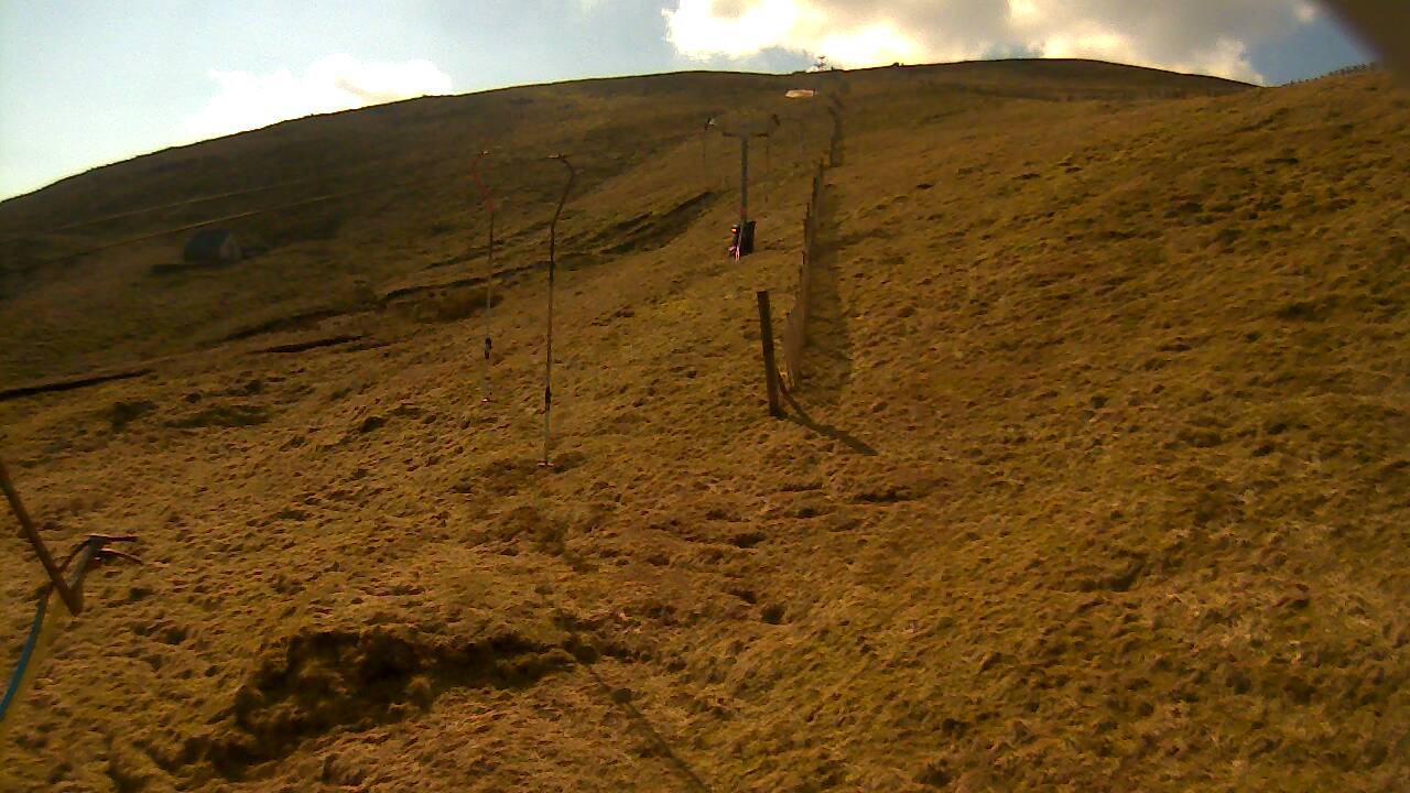 Image from 2022/03/26 for Tow Hut