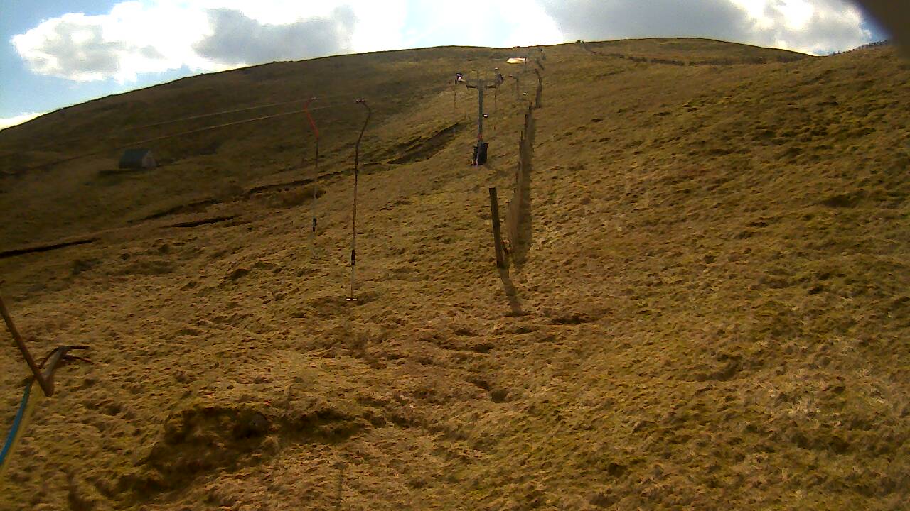 Image from 2022/03/26 for Tow Hut