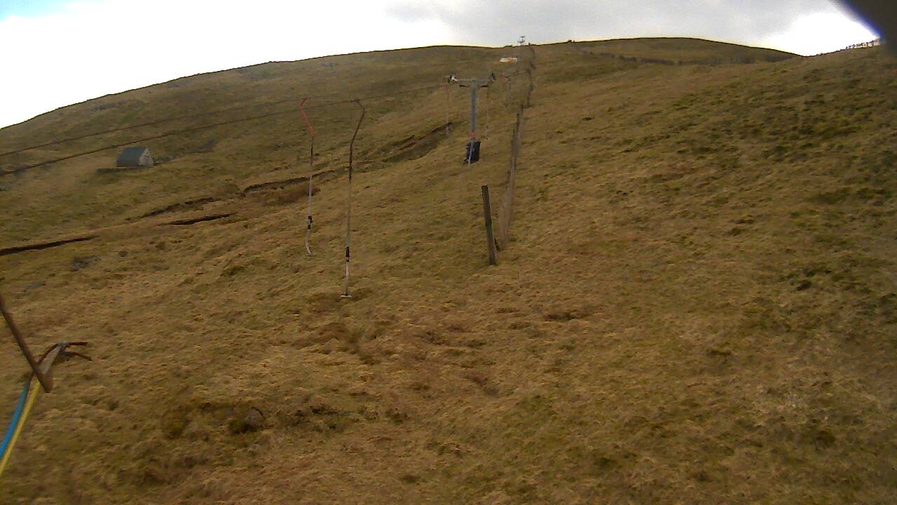 Image from 2022/03/26 for Tow Hut