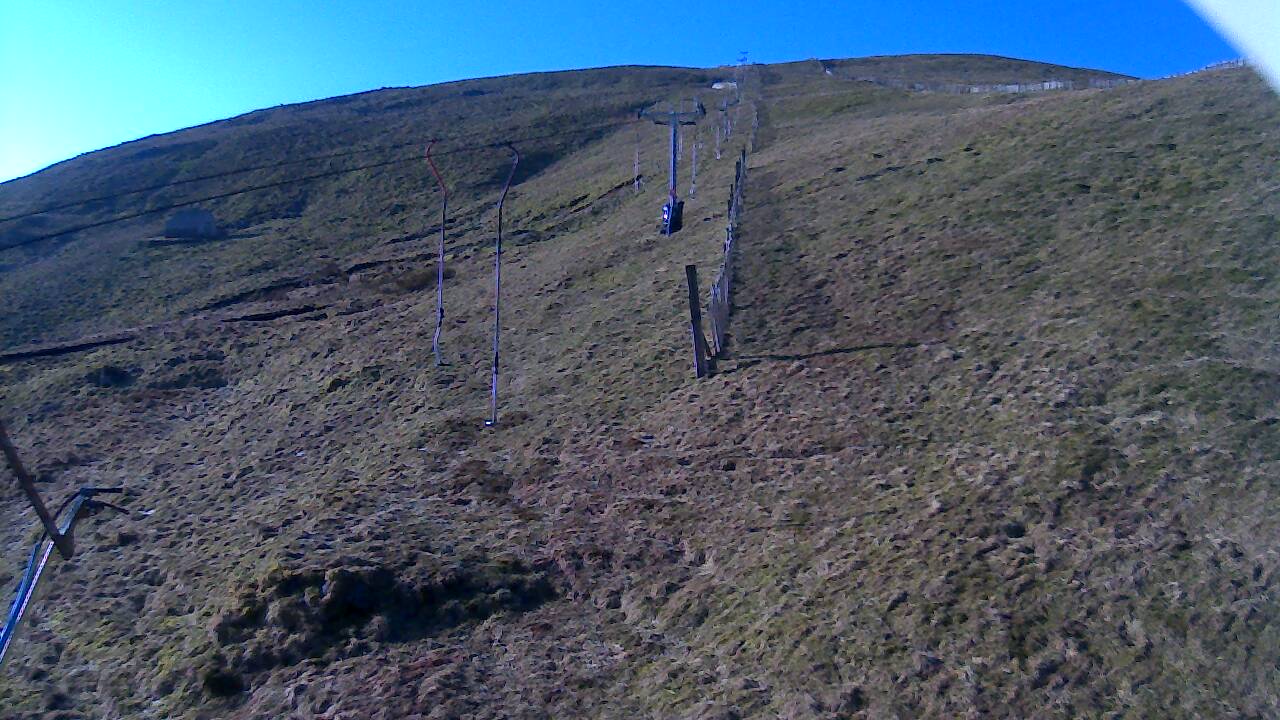 Image from 2022/03/27 for Tow Hut