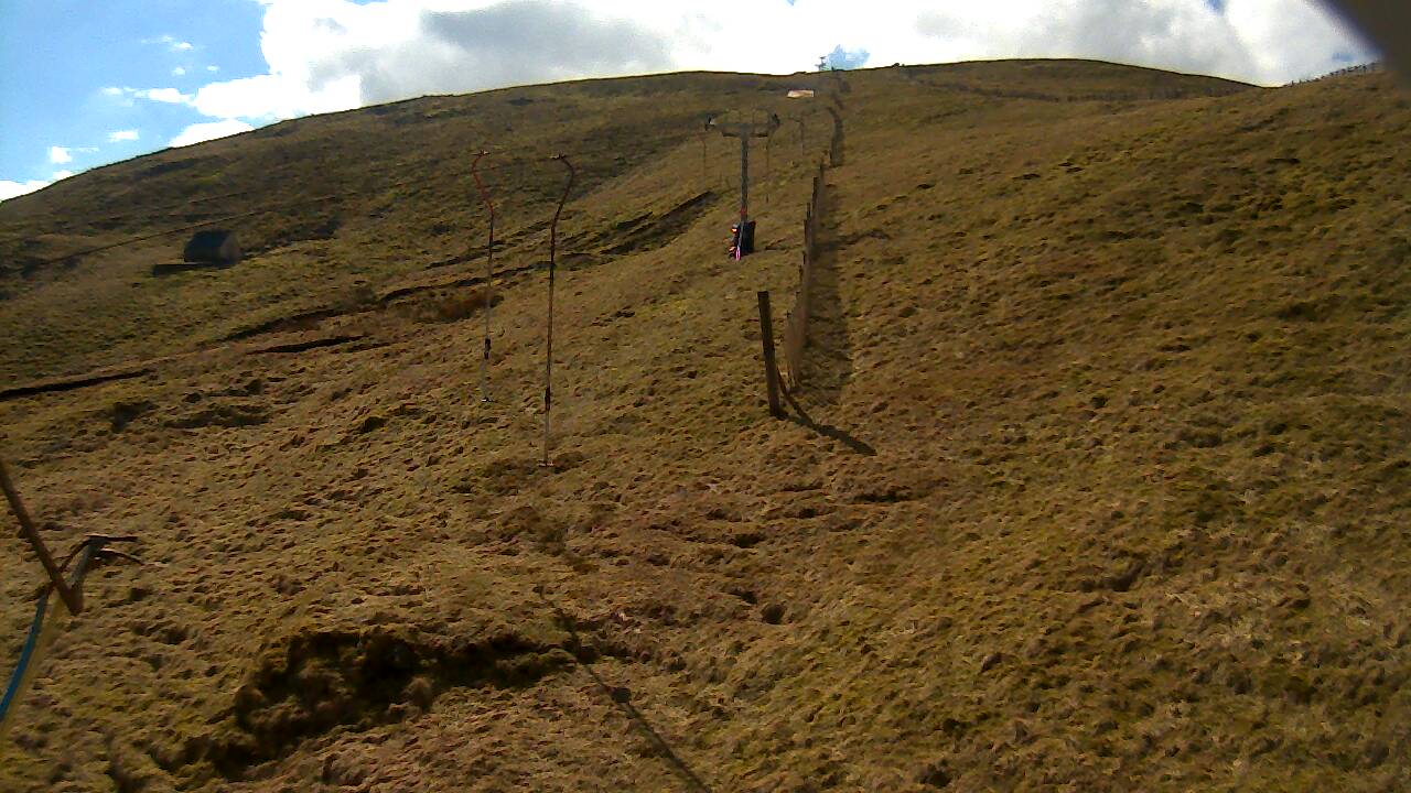 Image from 2022/03/27 for Tow Hut