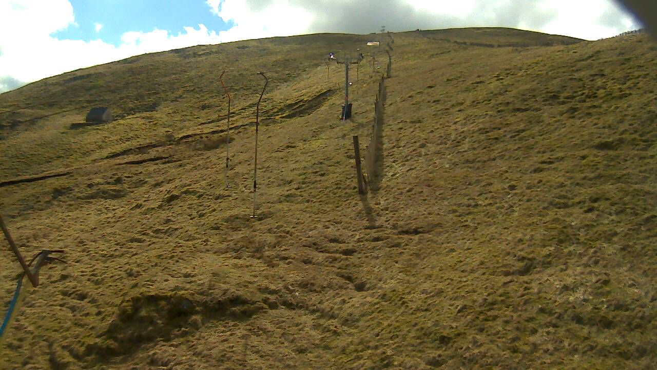 Image from 2022/03/27 for Tow Hut