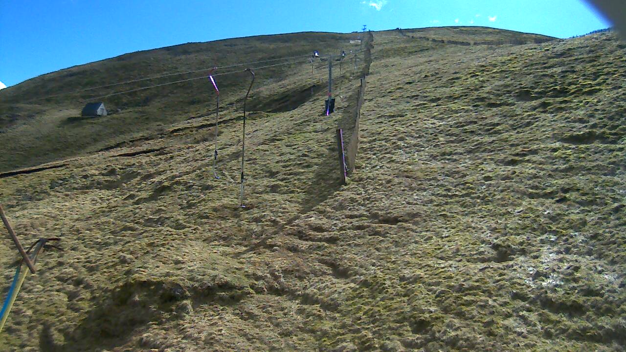 Image from 2022/03/27 for Tow Hut