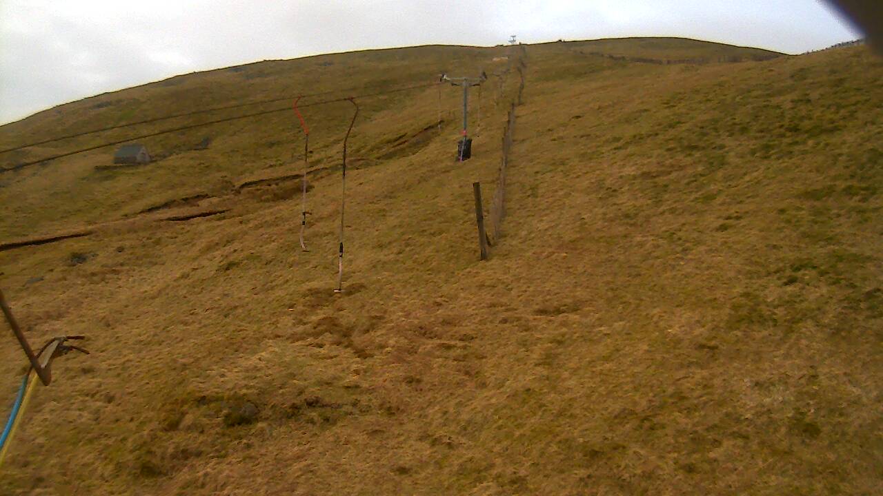 Image from 2022/03/28 for Tow Hut