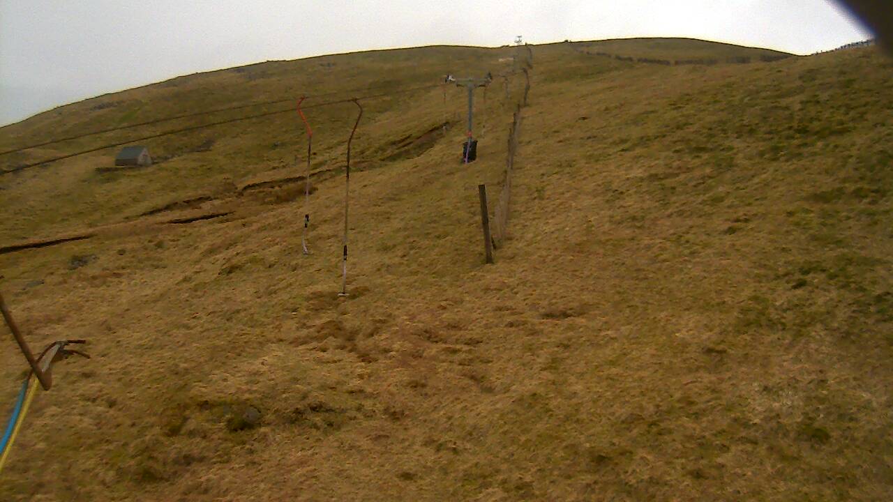 Image from 2022/03/28 for Tow Hut