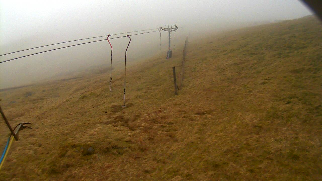 Image from 2022/03/28 for Tow Hut