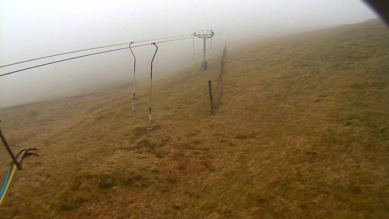 Image from 2022/03/28 for Tow Hut