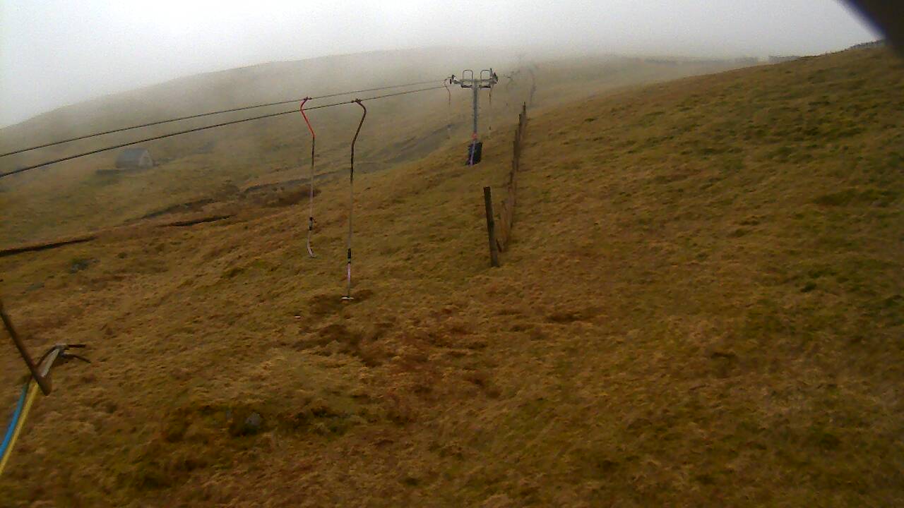 Image from 2022/03/28 for Tow Hut