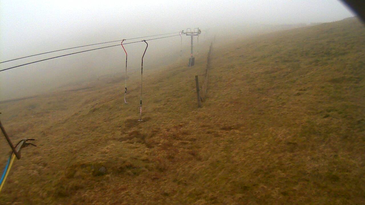 Image from 2022/03/28 for Tow Hut