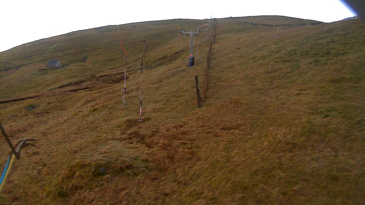 Image from 2022/03/29 for Tow Hut