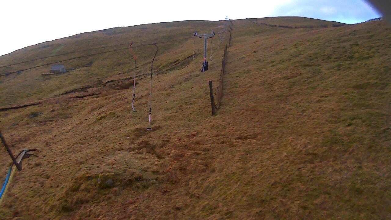 Image from 2022/03/29 for Tow Hut