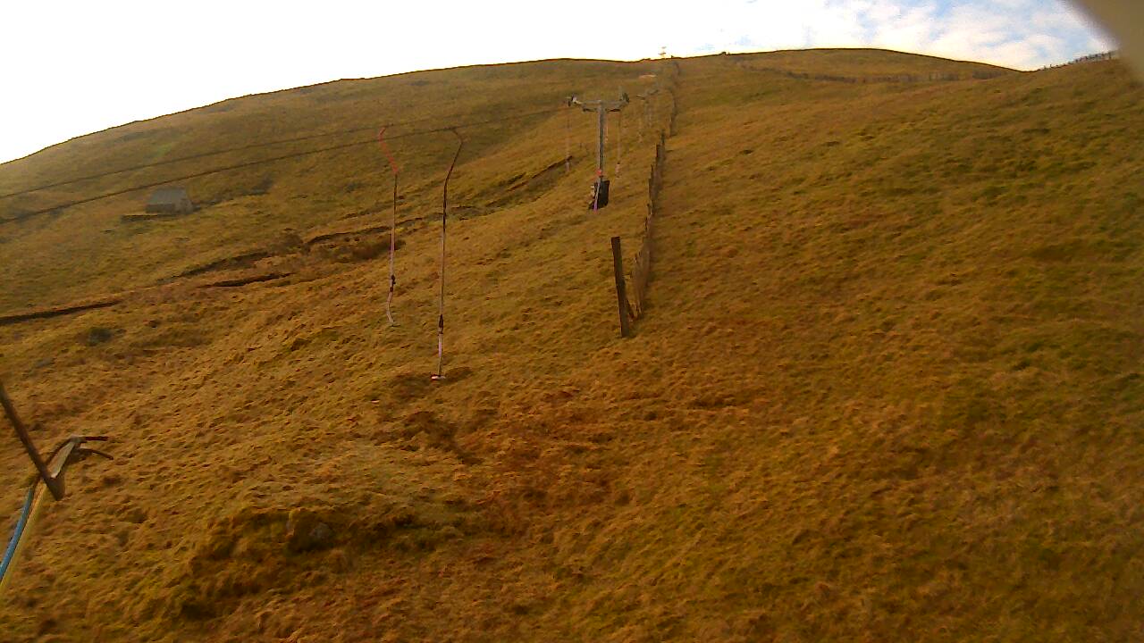 Image from 2022/03/29 for Tow Hut