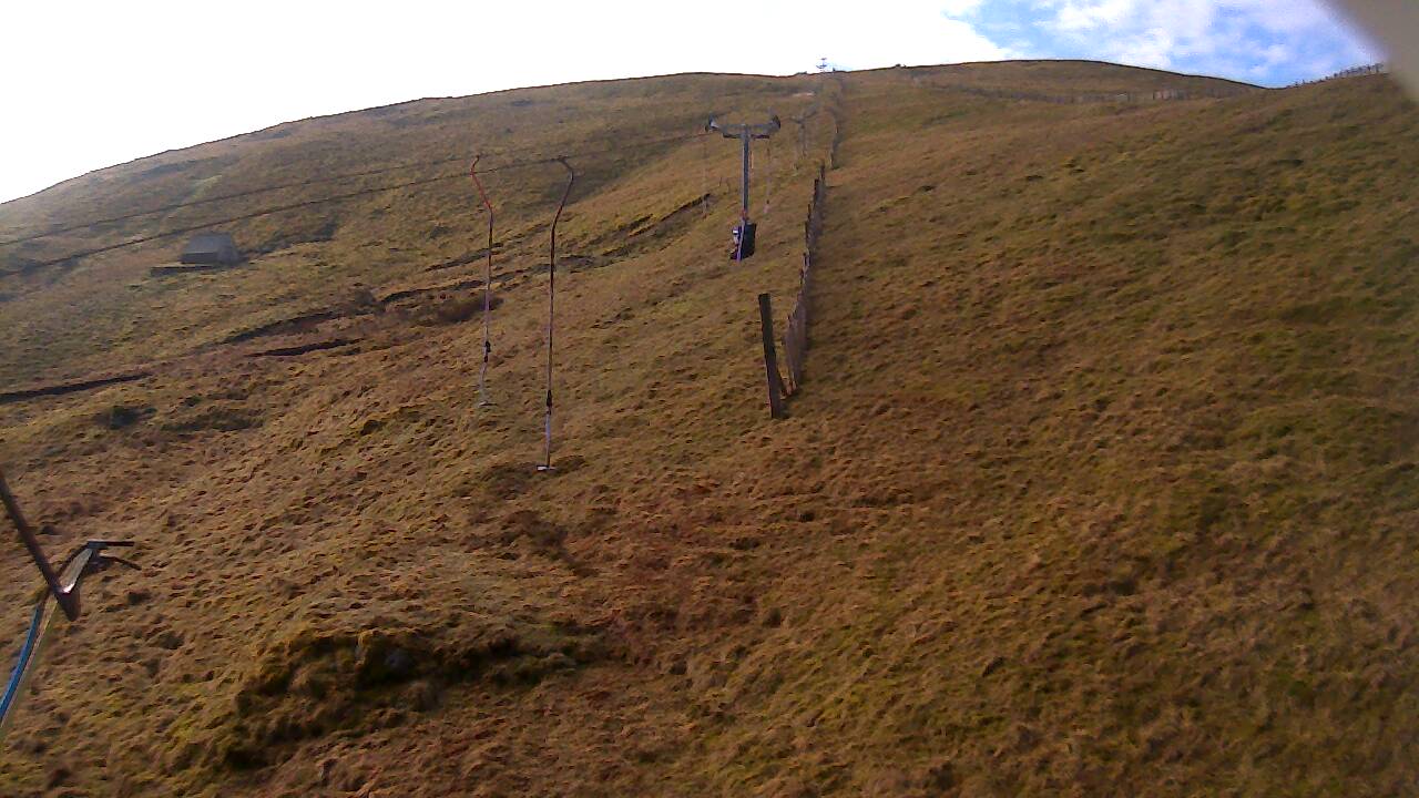 Image from 2022/03/29 for Tow Hut