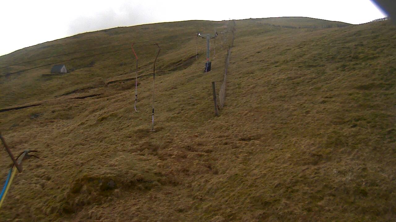 Image from 2022/03/29 for Tow Hut