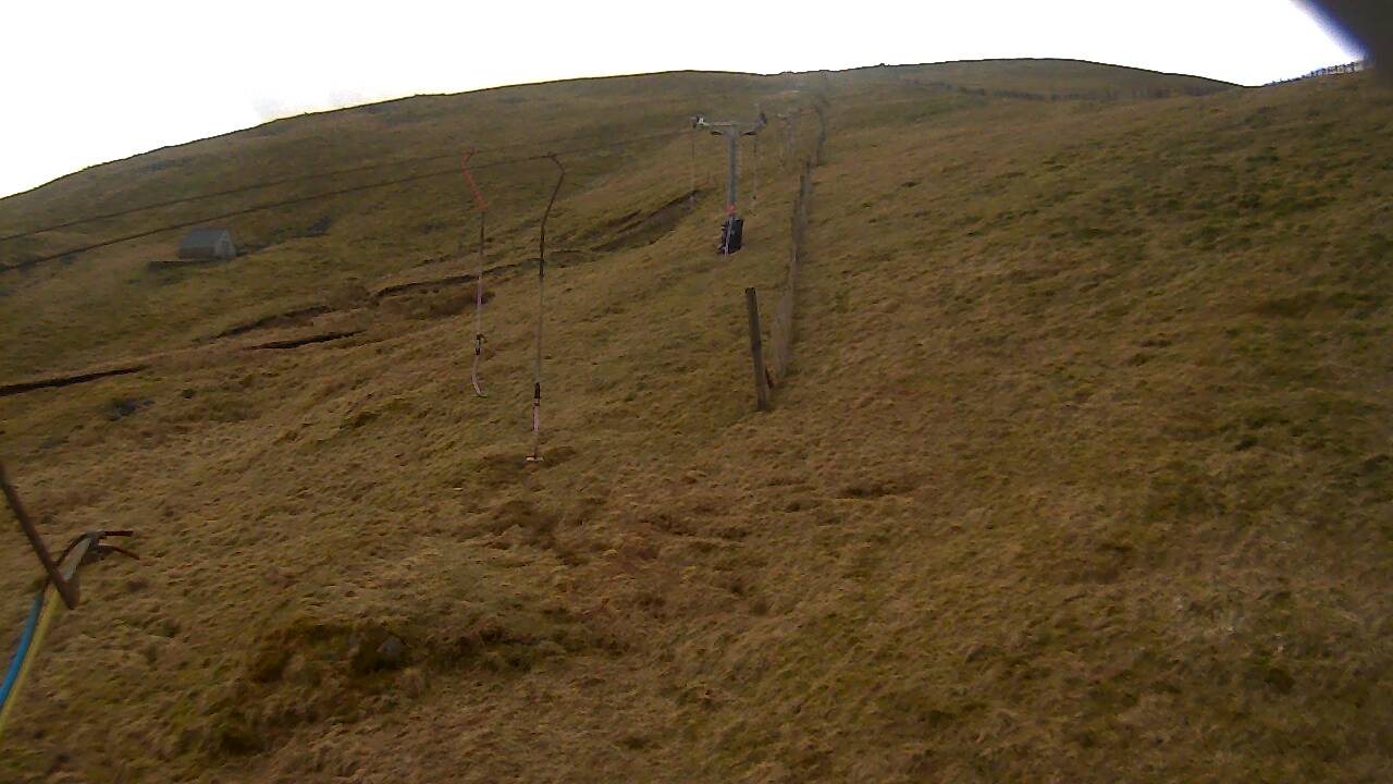 Image from 2022/03/29 for Tow Hut