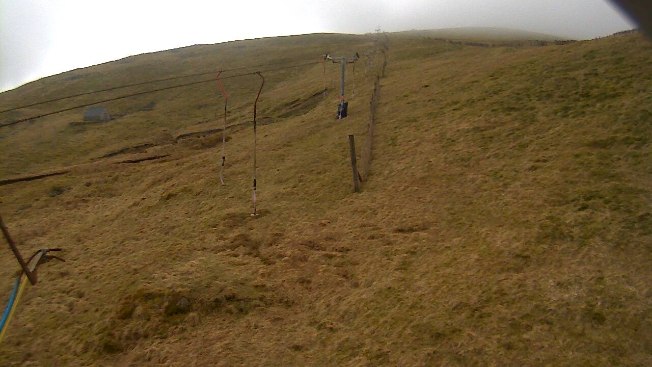 Image from 2022/03/29 for Tow Hut