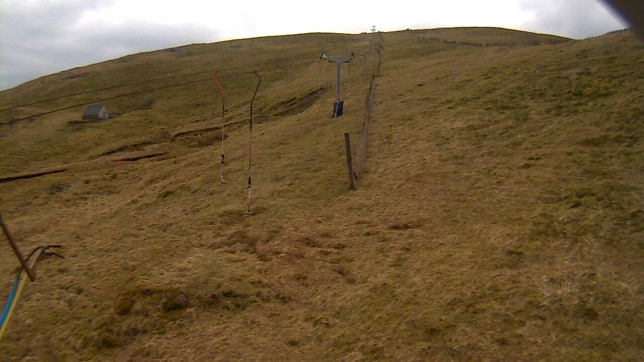 Image from 2022/03/29 for Tow Hut