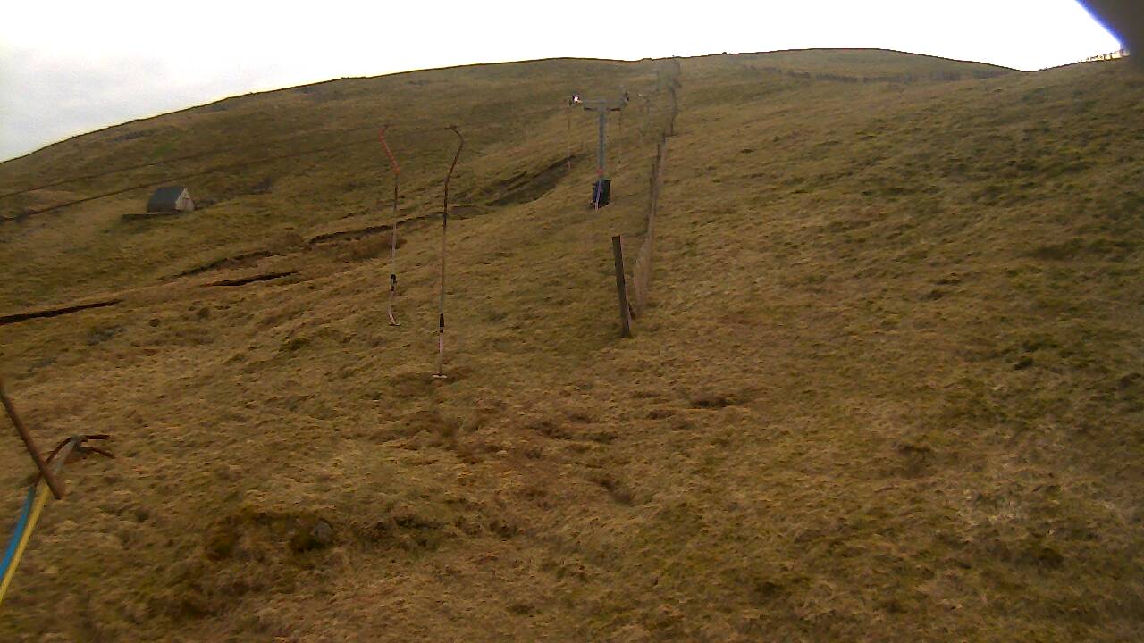 Image from 2022/03/29 for Tow Hut