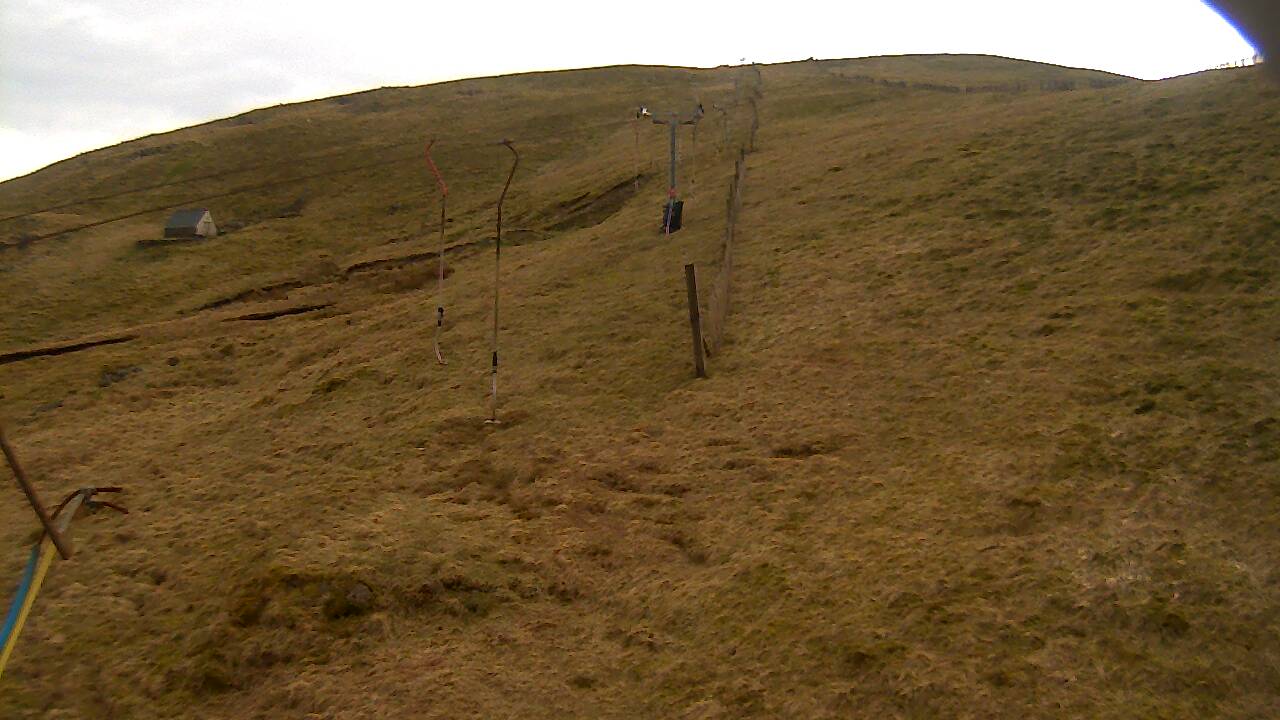 Image from 2022/03/29 for Tow Hut