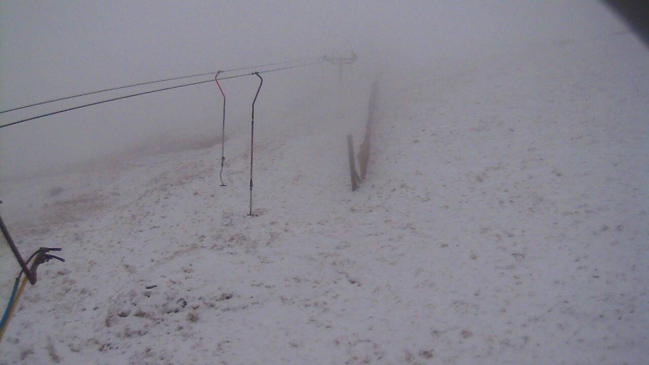 Image from 2022/03/30 for Tow Hut