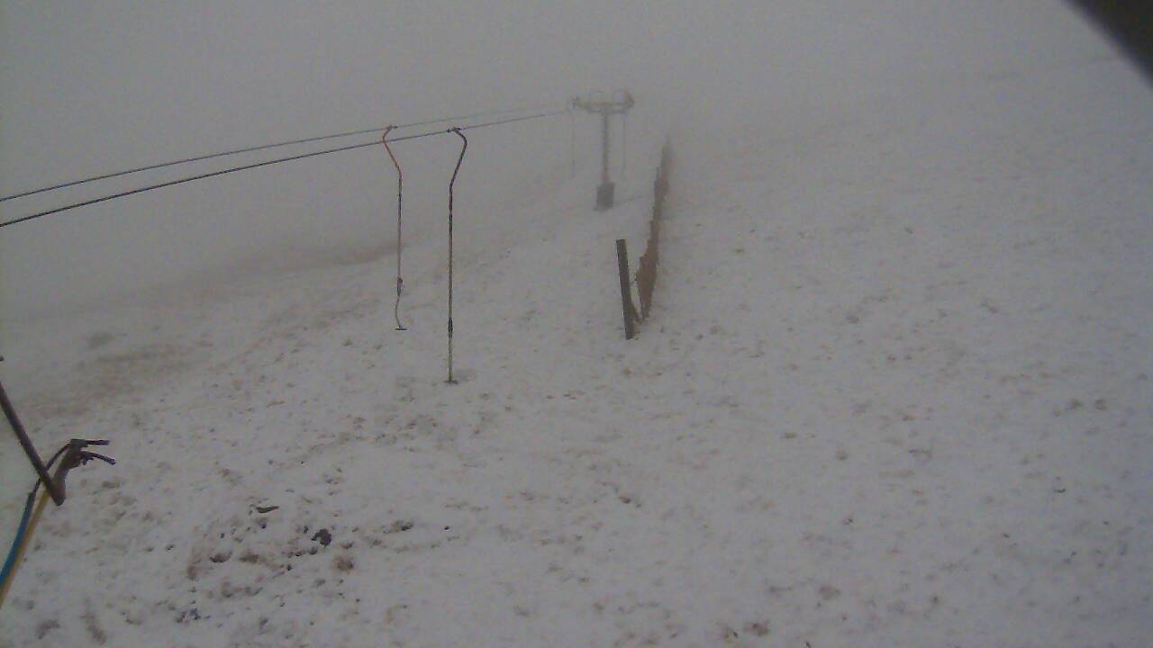 Image from 2022/03/30 for Tow Hut