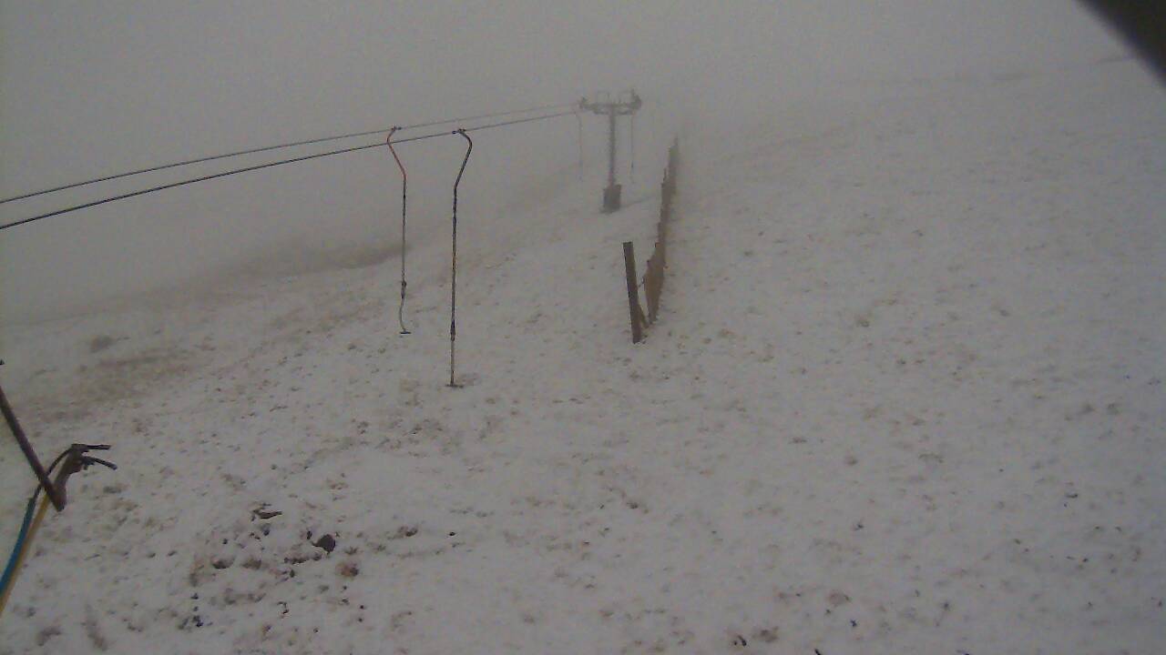 Image from 2022/03/30 for Tow Hut