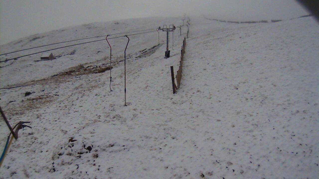 Image from 2022/03/30 for Tow Hut