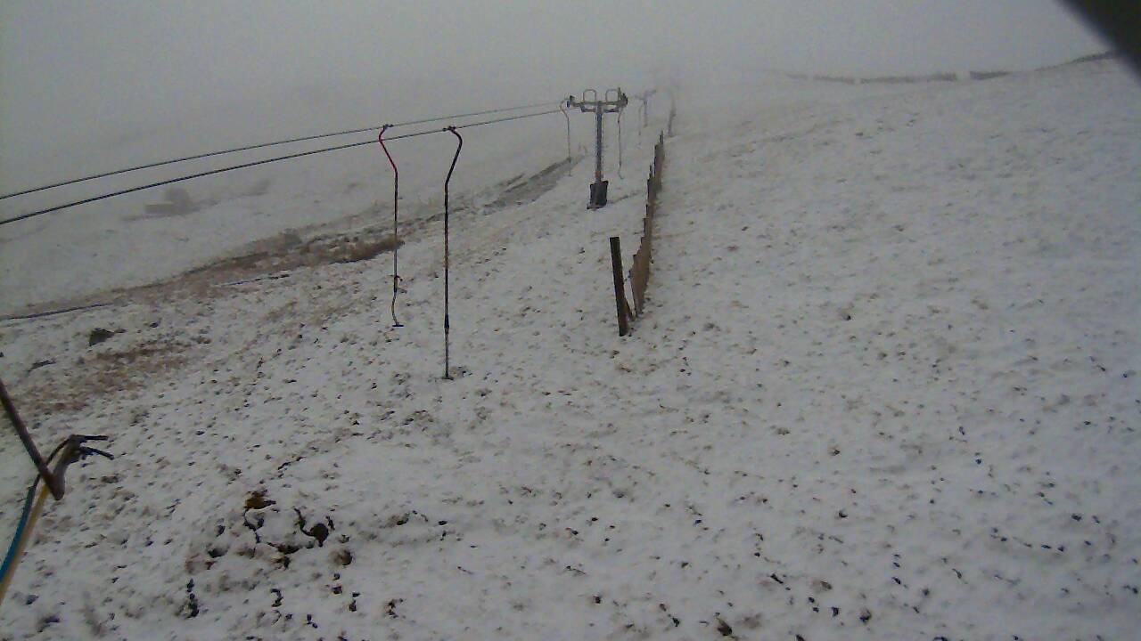 Image from 2022/03/30 for Tow Hut