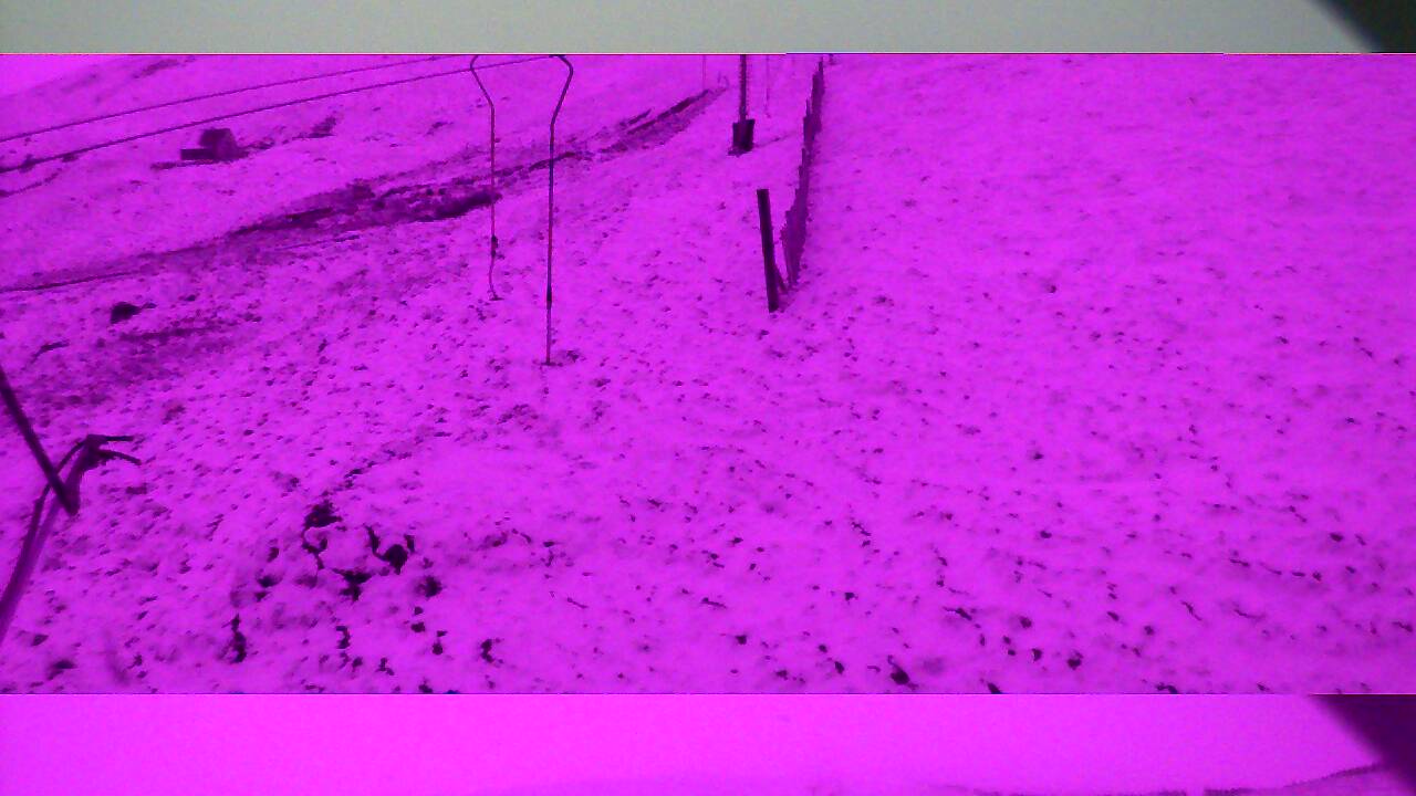 Image from 2022/03/30 for Tow Hut