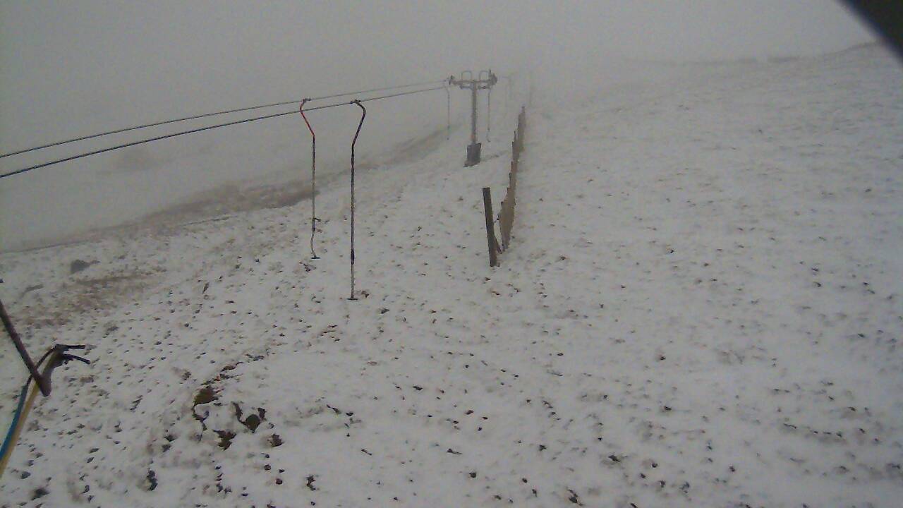 Image from 2022/03/30 for Tow Hut