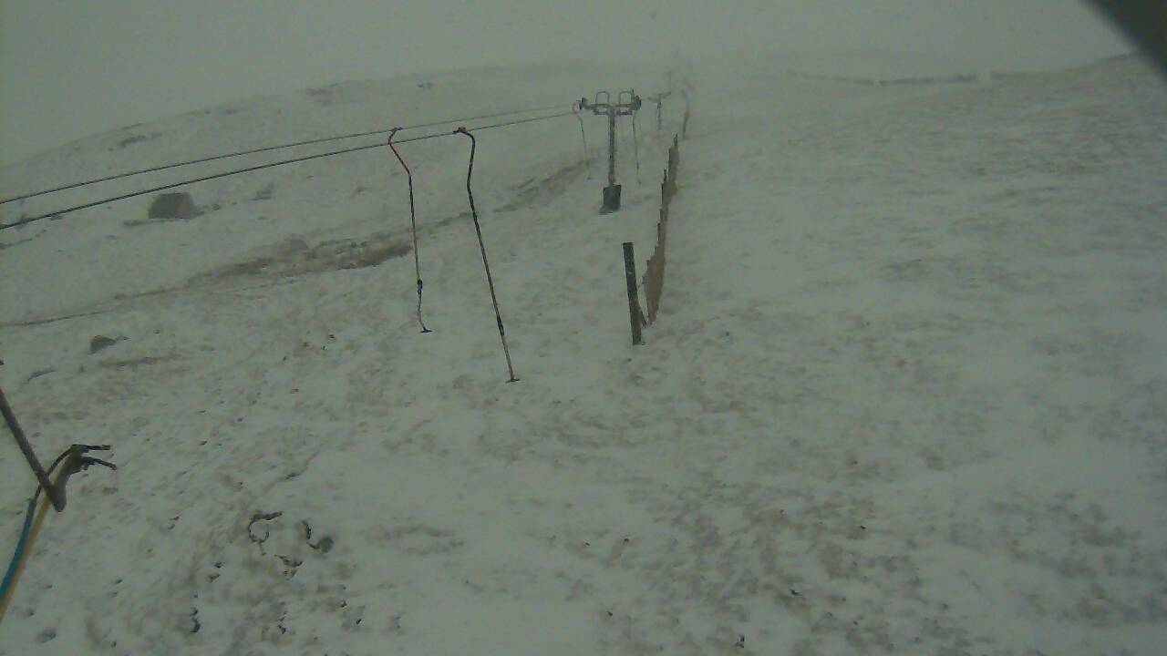 Image from 2022/03/30 for Tow Hut