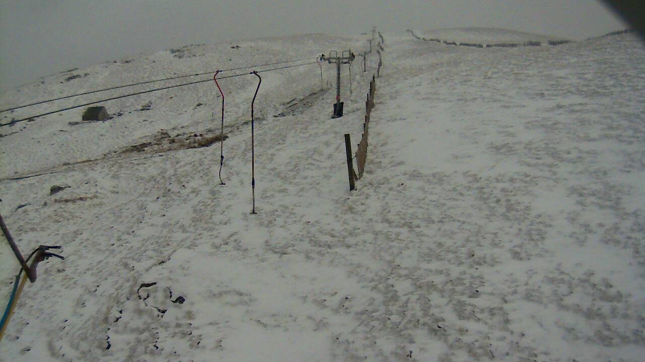 Image from 2022/03/30 for Tow Hut