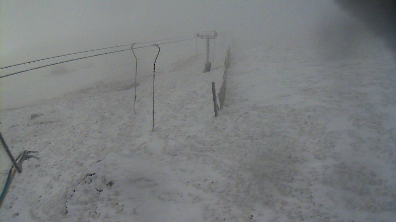 Image from 2022/03/31 for Tow Hut