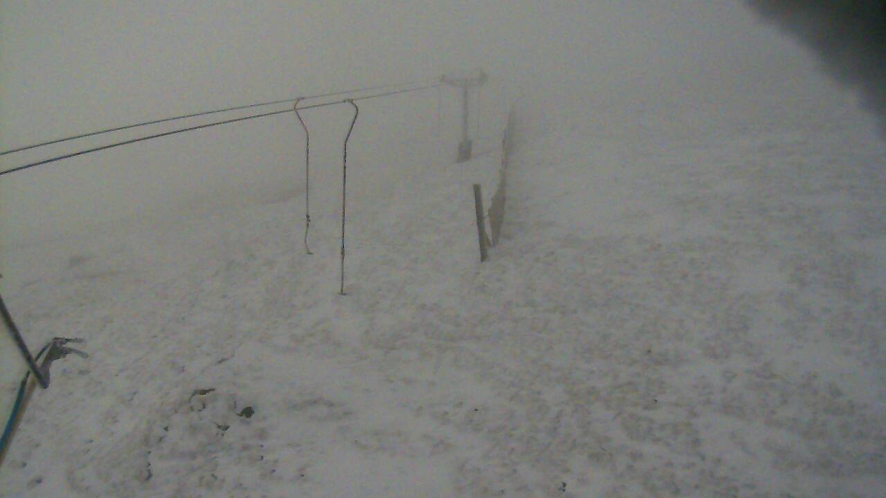 Image from 2022/03/31 for Tow Hut