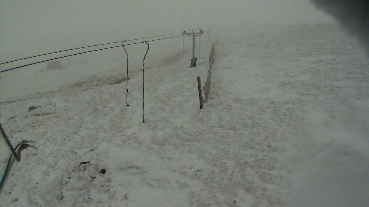 Image from 2022/03/31 for Tow Hut