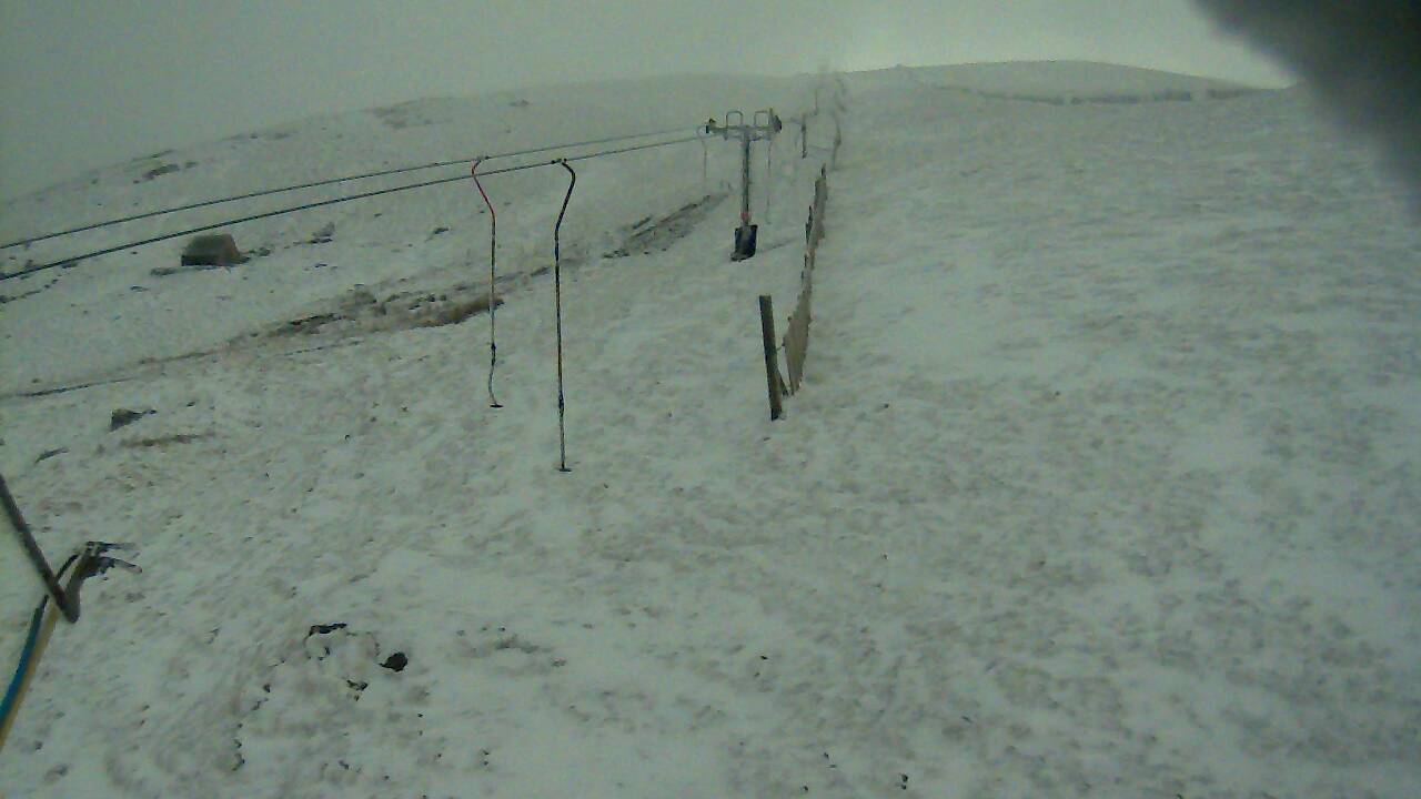 Image from 2022/03/31 for Tow Hut