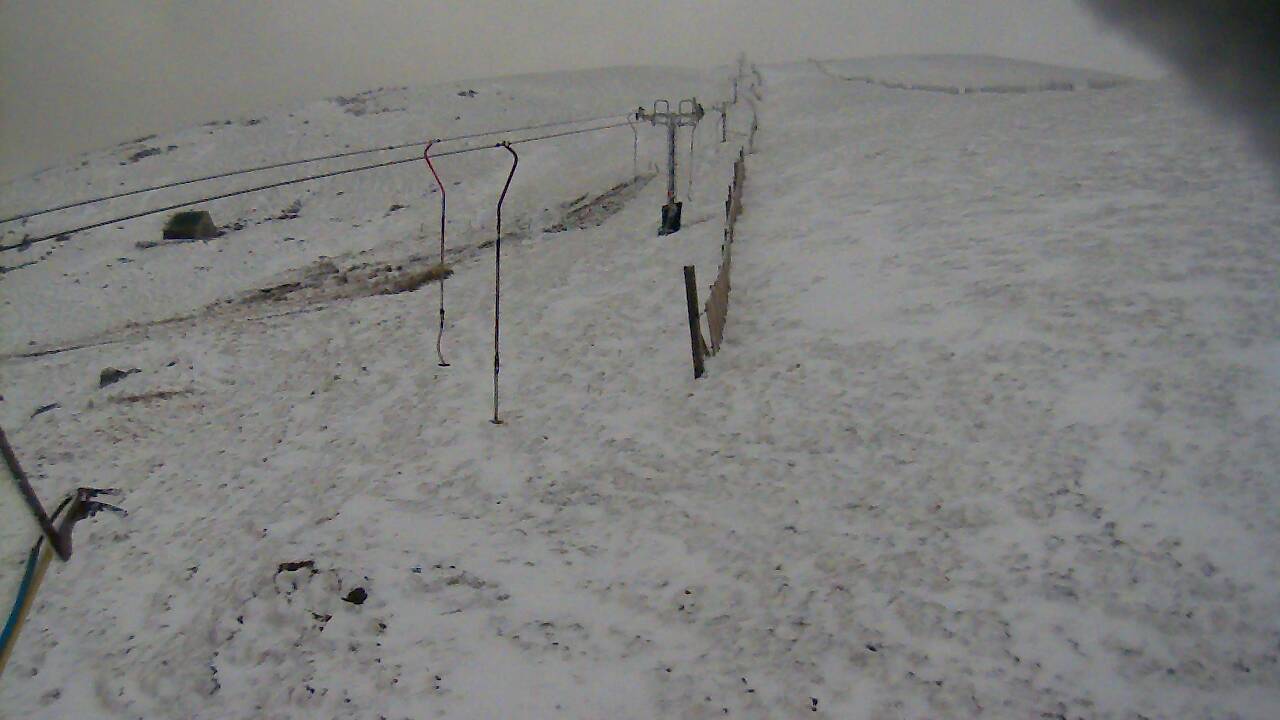 Image from 2022/03/31 for Tow Hut