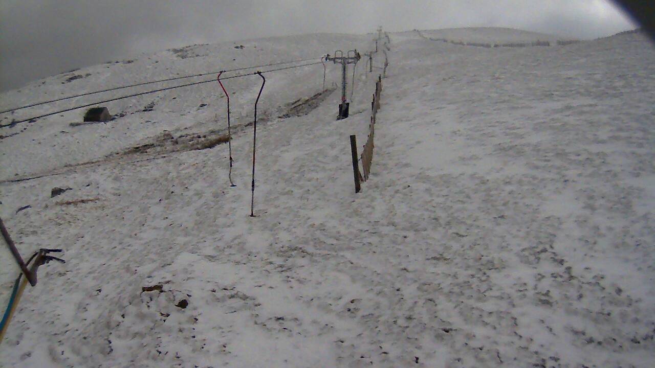 Image from 2022/03/31 for Tow Hut