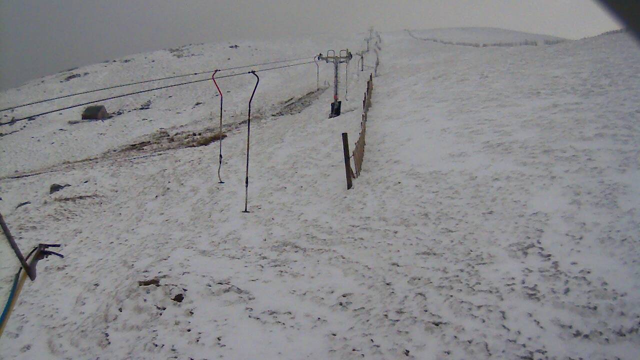 Image from 2022/03/31 for Tow Hut