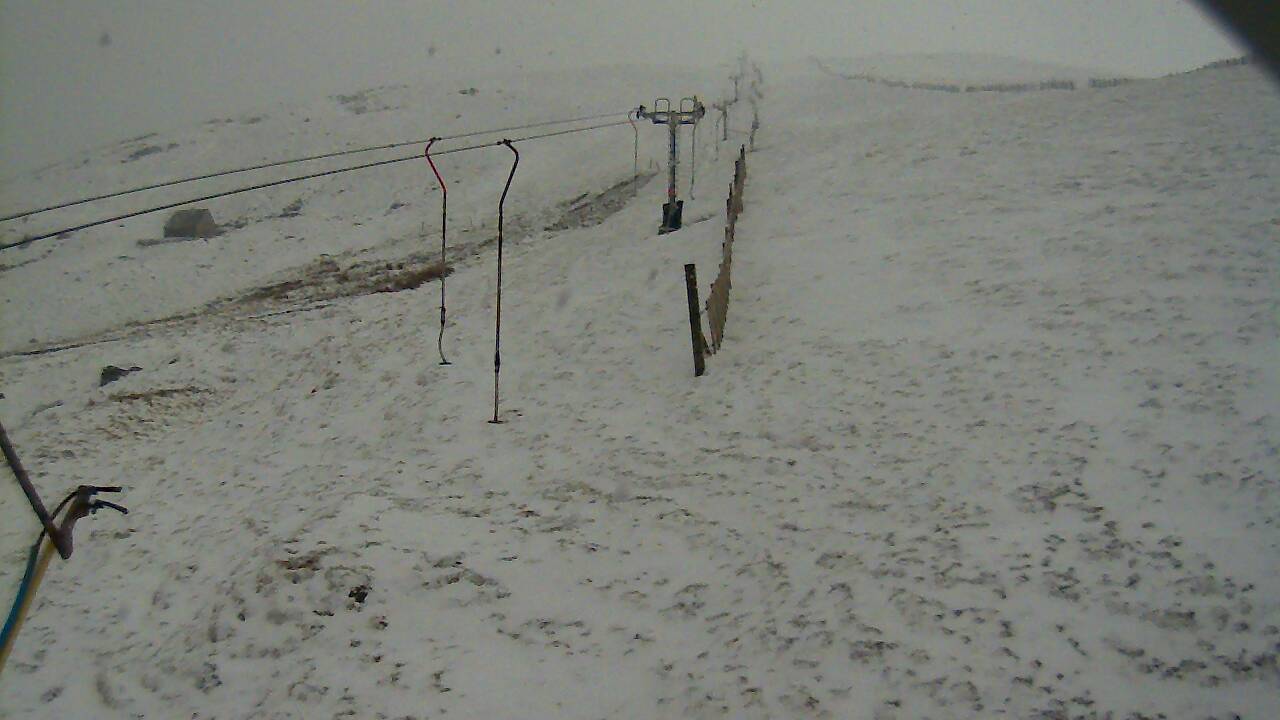 Image from 2022/03/31 for Tow Hut