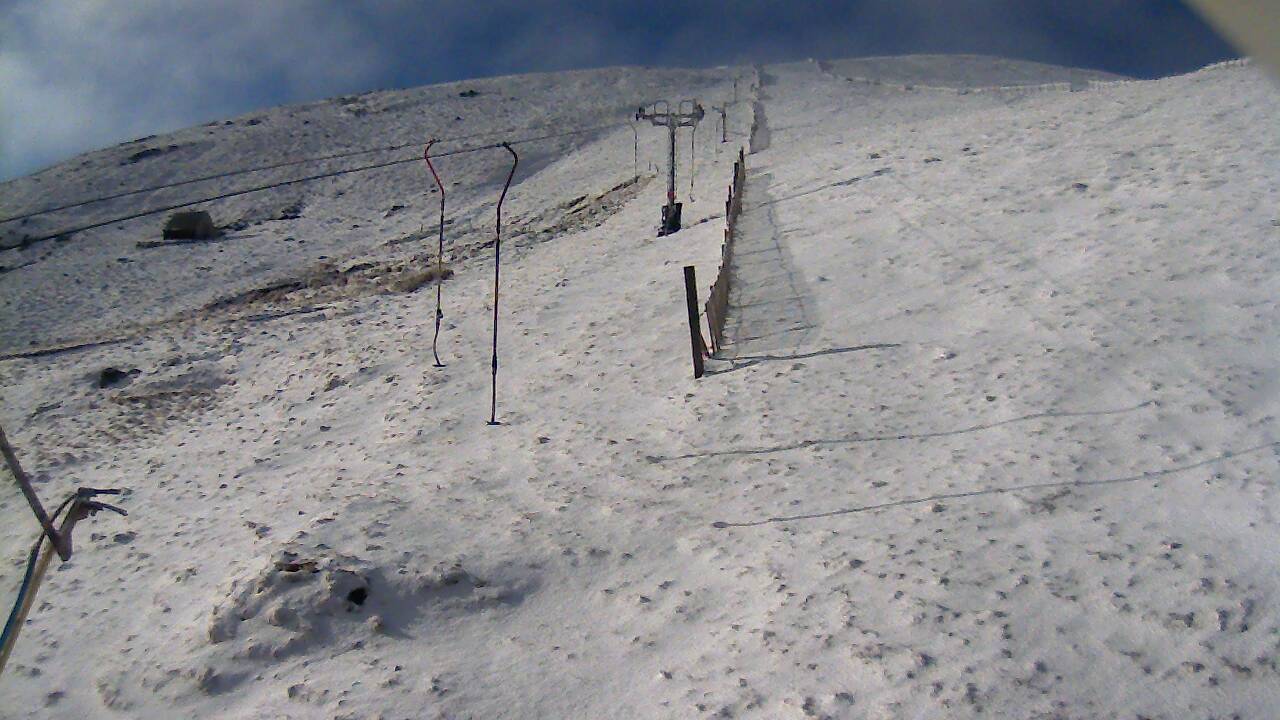 Image from 2022/04/01 for Tow Hut