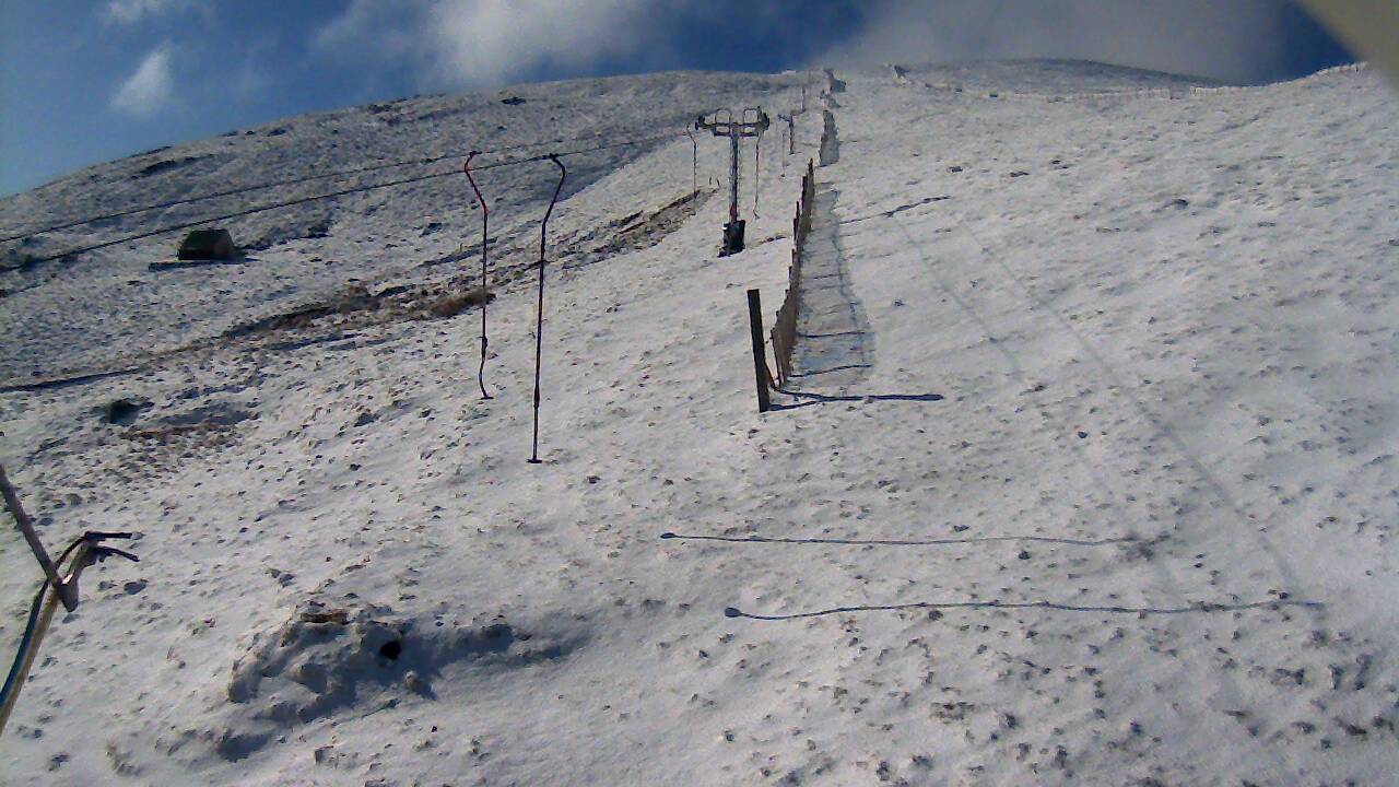 Image from 2022/04/01 for Tow Hut