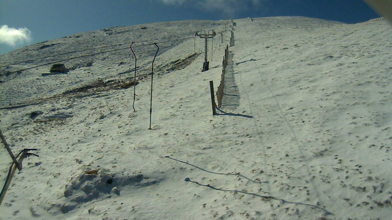 Image from 2022/04/01 for Tow Hut