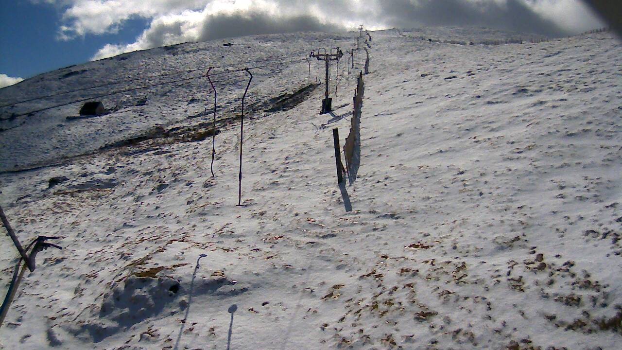 Image from 2022/04/01 for Tow Hut