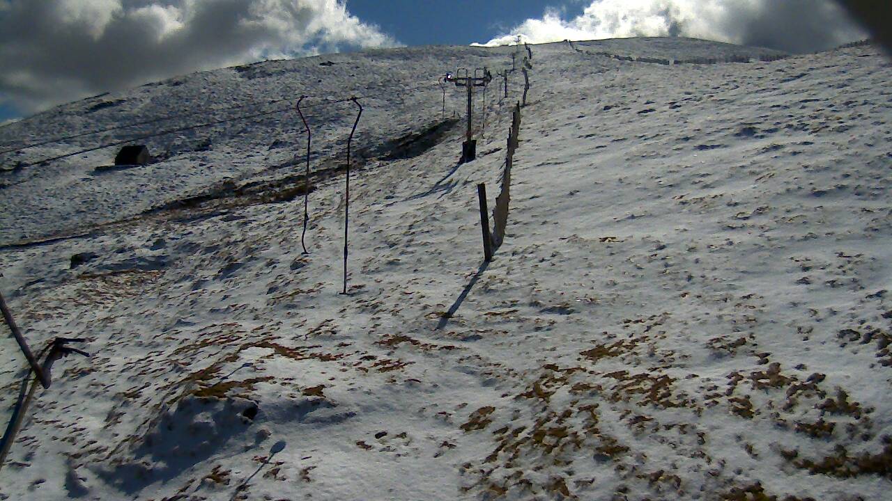 Image from 2022/04/01 for Tow Hut