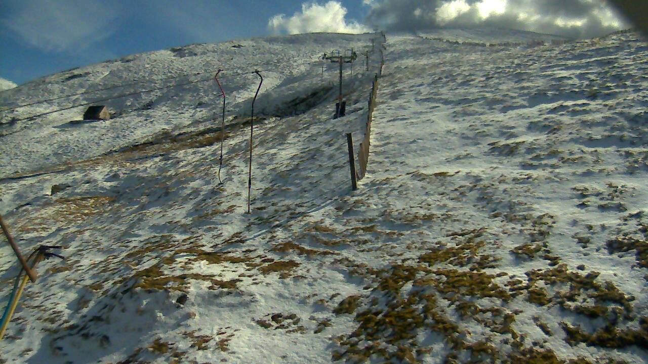 Image from 2022/04/01 for Tow Hut